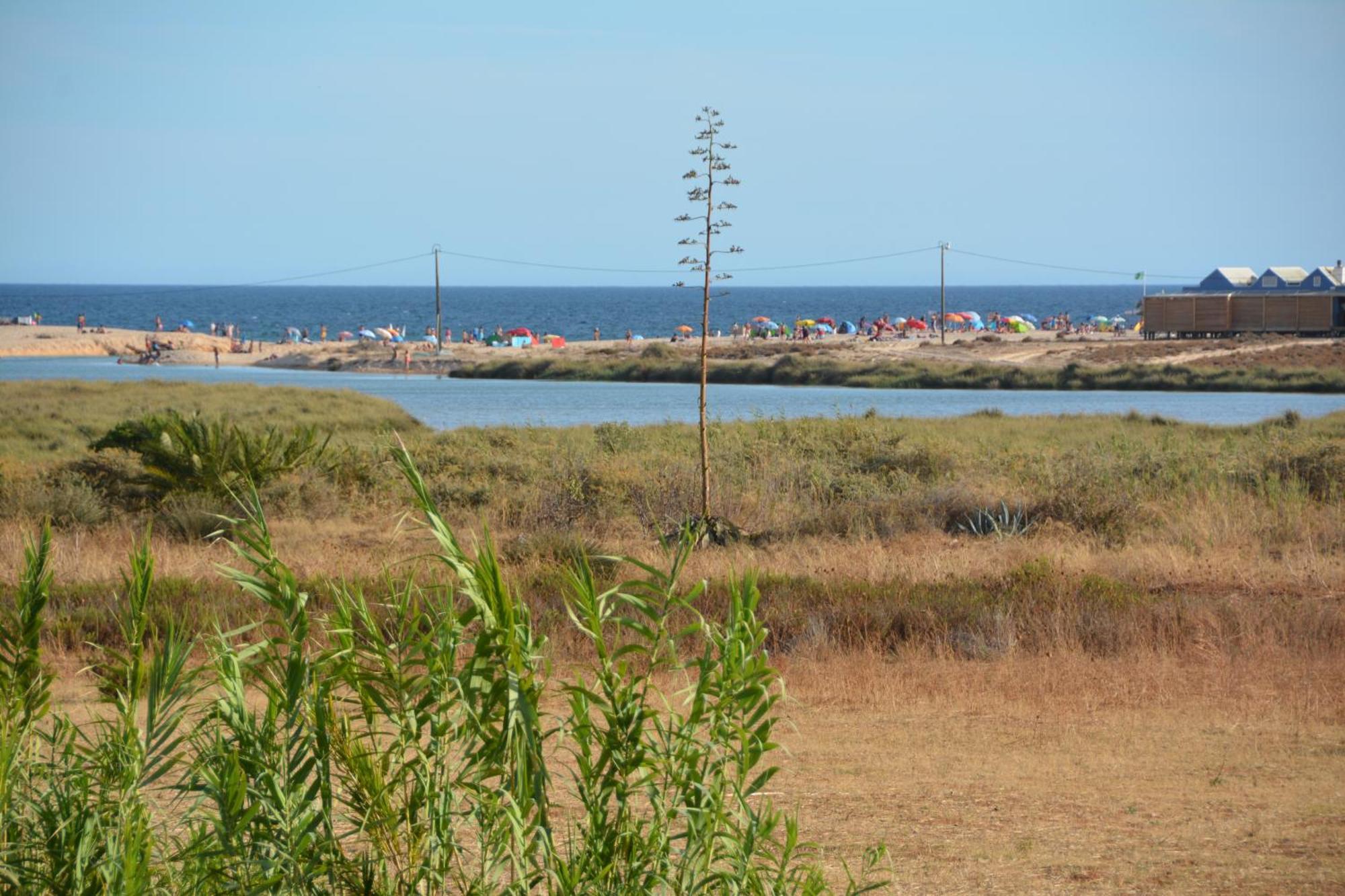Praia Dria Armação de Pêra Zewnętrze zdjęcie